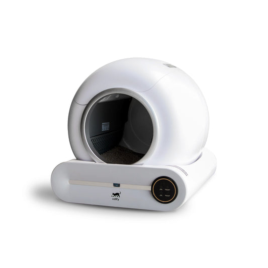 Arenero Automático Inteligente Catify